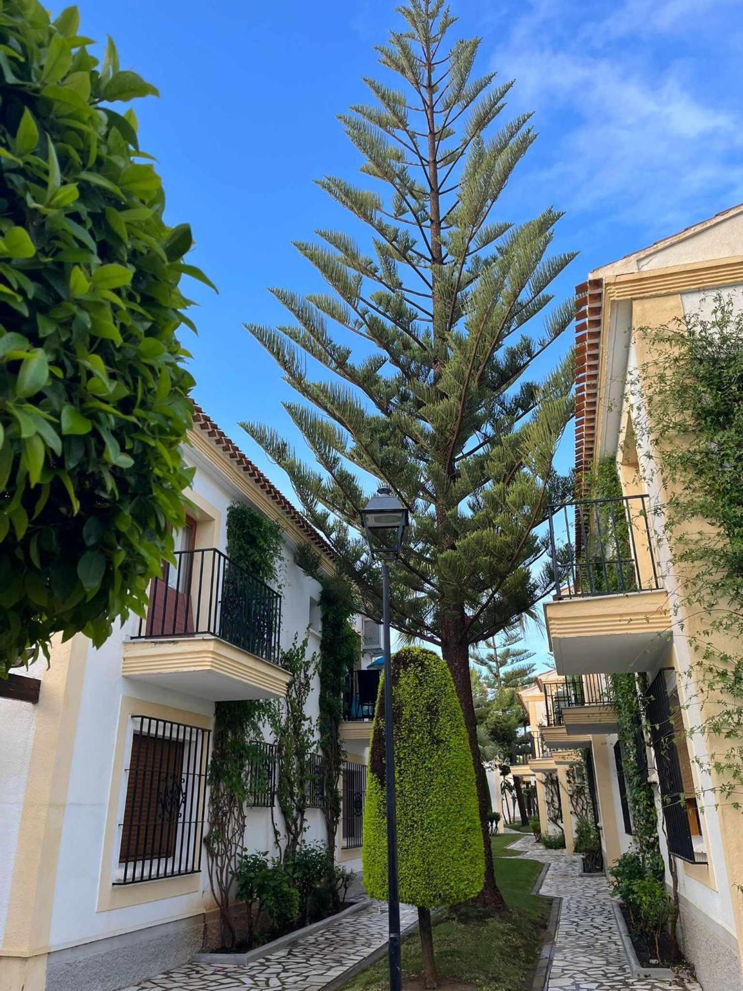 Playas de Vera Apartamento Vera Coast 123 מראה חיצוני תמונה