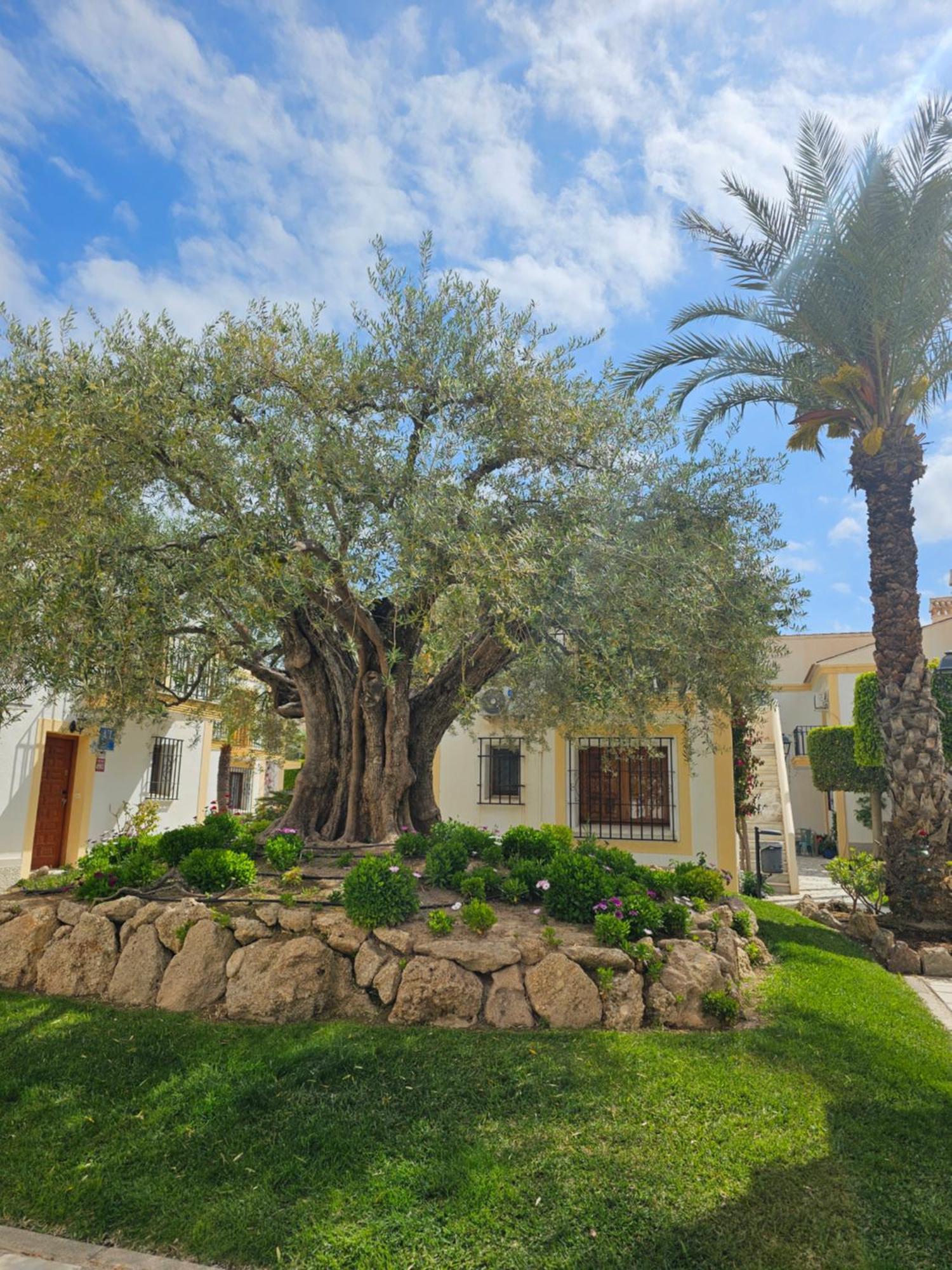 Playas de Vera Apartamento Vera Coast 123 מראה חיצוני תמונה